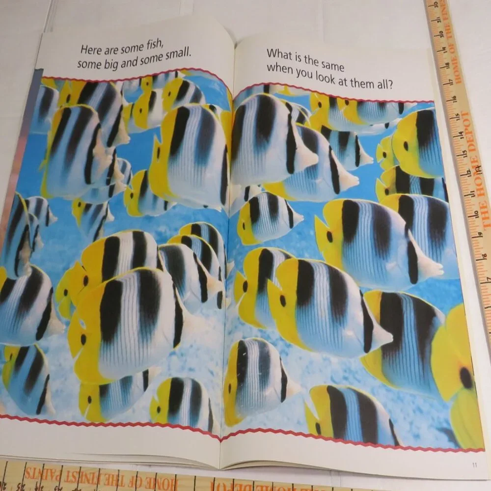 Sort It Out BIG BOOK (almost 2 feet tall) with teacher pages CLASSROOM SIZE